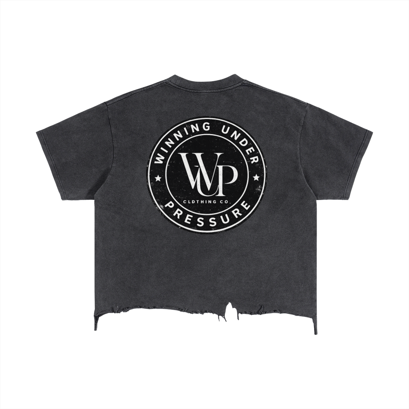 Color Logo Vintage Wash Boxy Distressed Hem T-Shirt 240gm