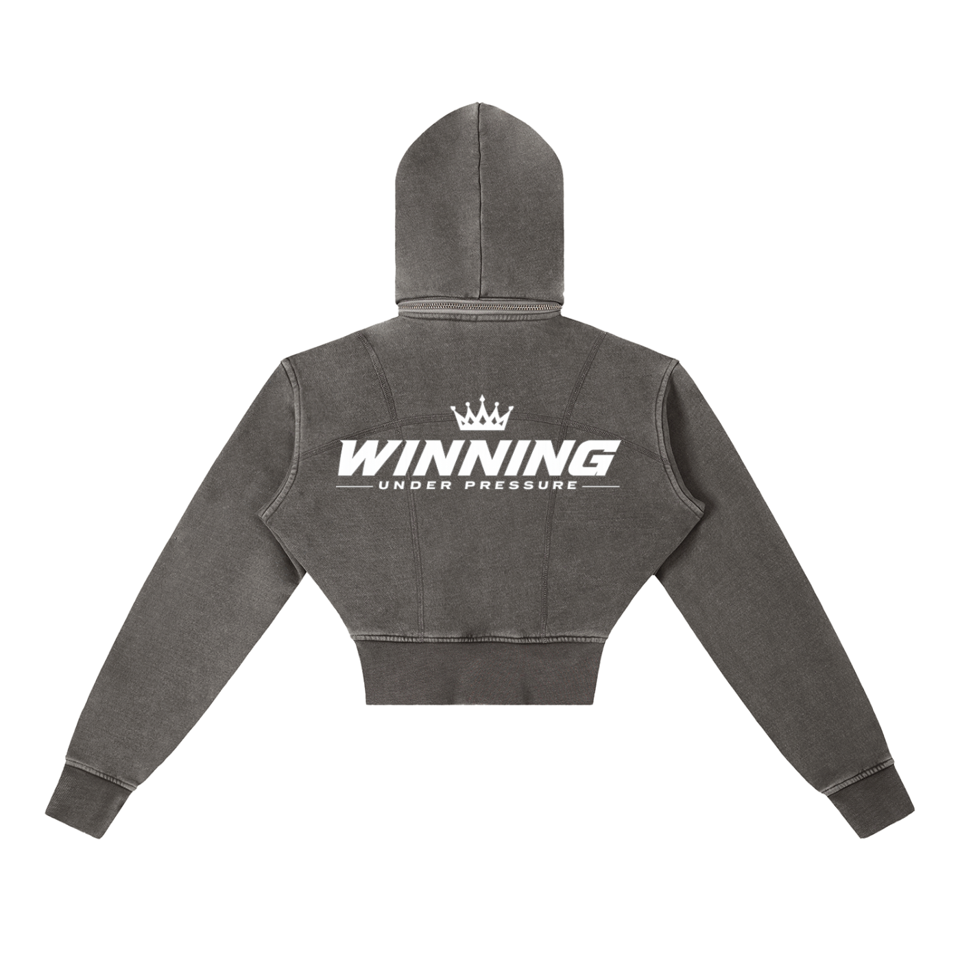 Crown Vintage Washed Cropped Fleece Hoodie